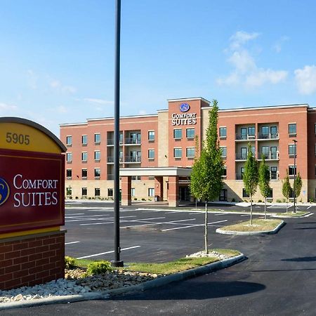 Comfort Suites Florence - Cincinnati South Ngoại thất bức ảnh